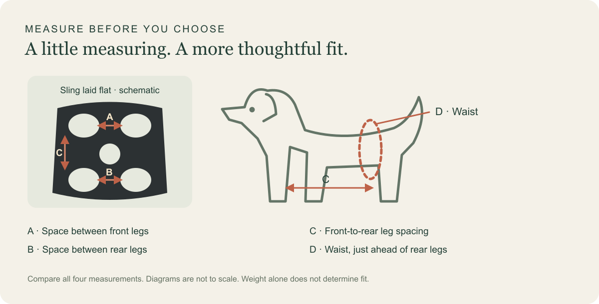 Measuring diagram: A between front legs, B between rear legs, C front-to-rear leg spacing, and D around the waist just ahead of rear legs.
